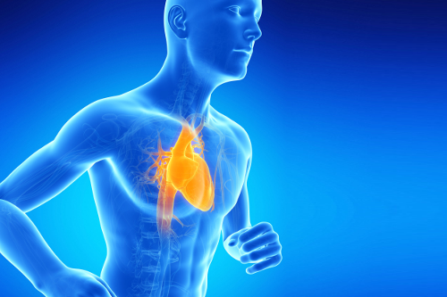 Semiologia Aplicada - II (Sinais e Sintomas do Sistema Cardiovascular) Semiologia Aplicada - II (Sinais e Sintomas do Sistema Cardiovascular)