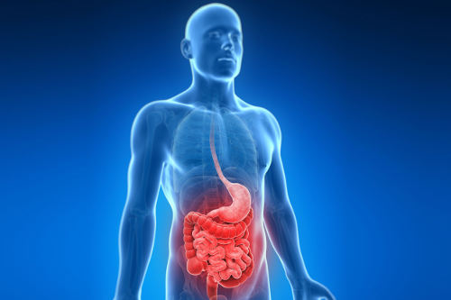 Semiologia Aplicada - II (Sinais e Sintomas do Sistema Gastrintestinal) Semiologia Aplicada - II (Sinais e Sintomas do Sistema Gastrintestinal)