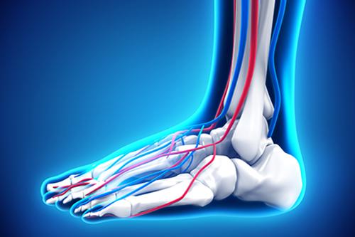 Semiologia Aplicada: Sinais e Sintomas do Sistema Vascular Semiologia Aplicada: Sinais e Sintomas do Sistema Vascular
