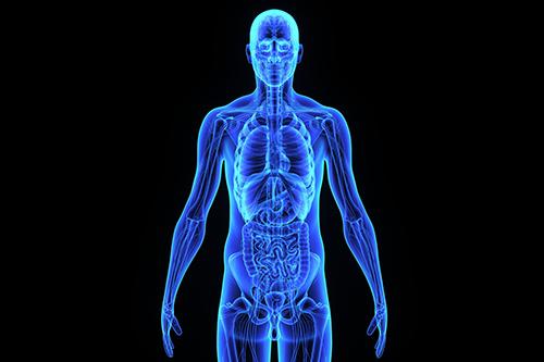 Semiologia Aplicada: Sinais e Sintomas Gerais e Inespecíficos Semiologia Aplicada: Sinais e Sintomas Gerais e Inespecíficos